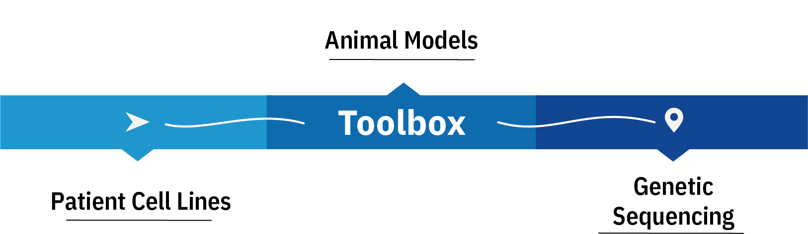 Toolbox steps chart